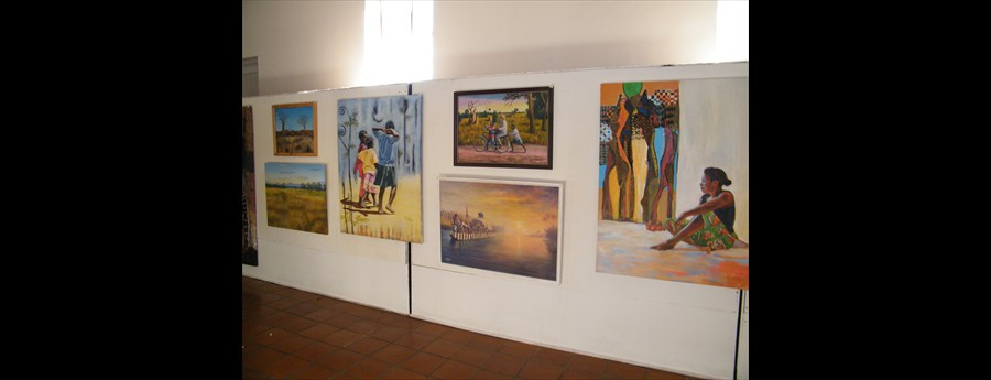 2013 Aug Livingstone Museum 1308220832